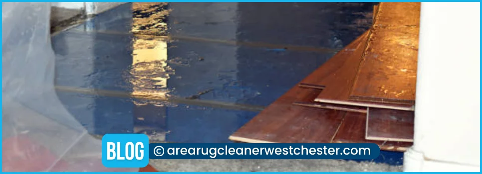 carpet cleaning in the westchester, carpet cleaning in the westchester, carpet cleaning the westchester, carpet cleaners in the westchester, carpet cleaners in the westchester, commercial carpet cleaning, commercial carpet cleaning in the westchester, the westchester rug cleaners, rug cleaning services in the westchester, same day carpet cleaning, same day rug cleaning