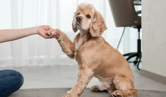 After