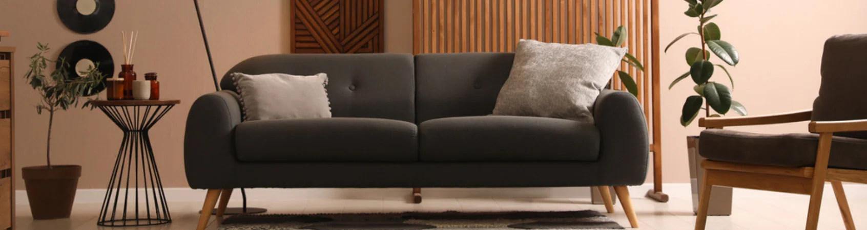 Upholstery Cleaning