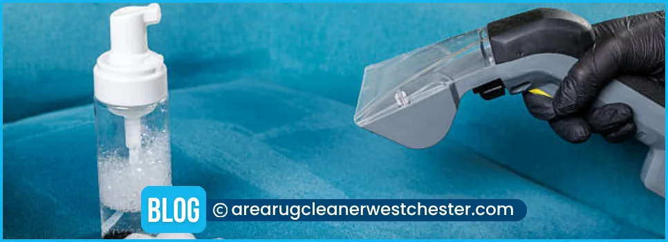 carpet cleaning in the westchester, carpet cleaning in the westchester, carpet cleaning the westchester, carpet cleaners in the westchester, carpet cleaners in the westchester, commercial carpet cleaning, commercial carpet cleaning in the westchester, the westchester rug cleaners, rug cleaning services in the westchester, same day carpet cleaning, same day rug cleaning